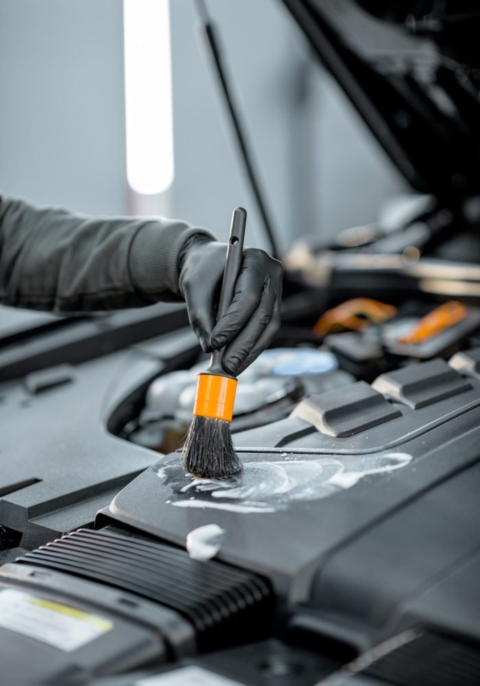 Professional car engine cleaning