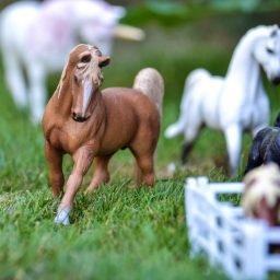 Horses toys