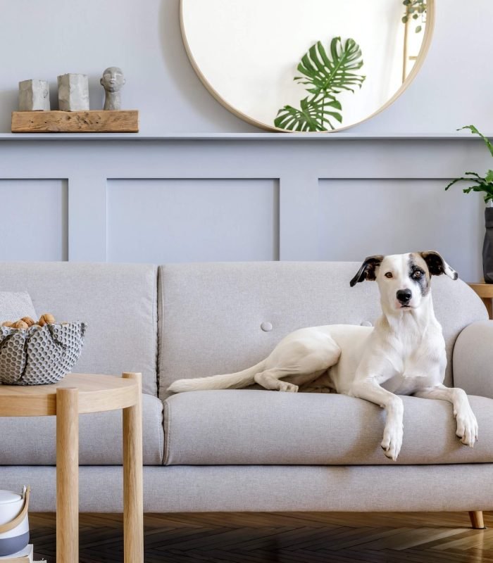 interior-design-of-living-room